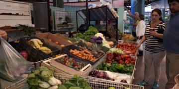 Promociones en el Mercado Concentrador vigentes hasta este sábado