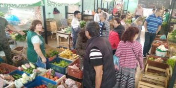 Enterate de las promociones vigentes hasta este sábado del Mercado Concentrador