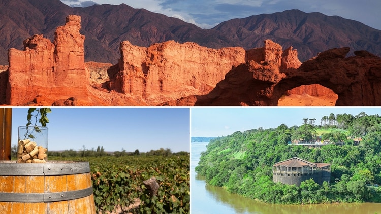 Mendoza, Puerto Iguazú y Salta, entre los destinos más elegidos para las vacaciones de invierno