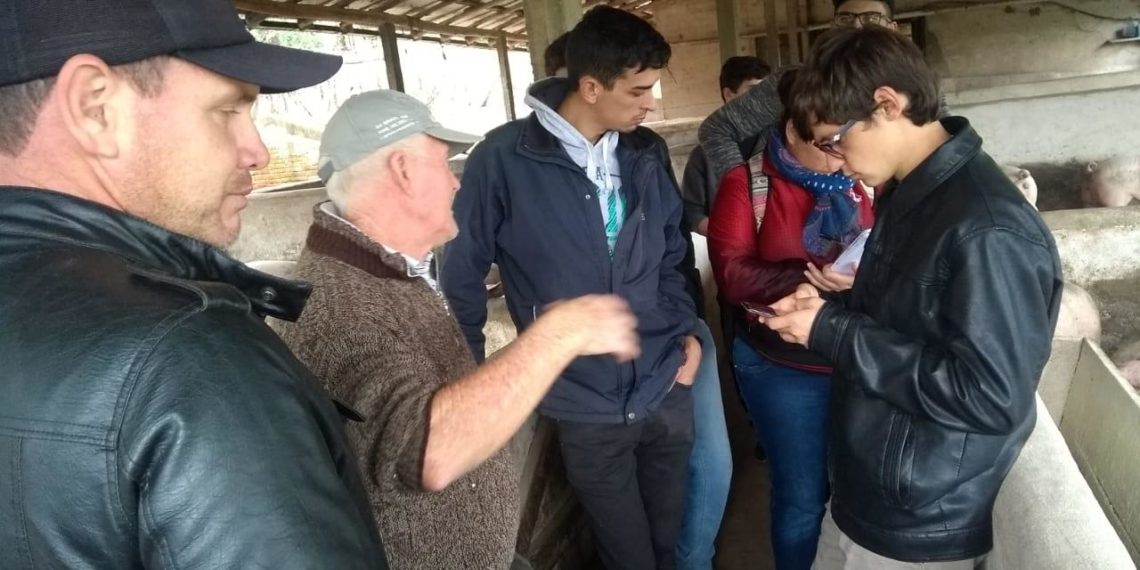 Informatizarán criadero de cerdos para ver la productividad
