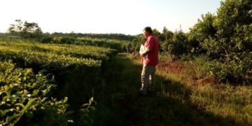 Proponen régimen jubilatorio especial para los pequeños productores
