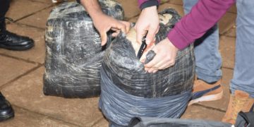 Secuestran más de 15 kg de “cogollos” de marihuana en una Terminal de Ómnibus