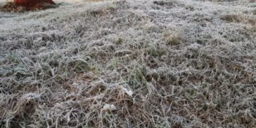 Clima: se registraron temperaturas bajo cero y heladas en distintos puntos de la provincia