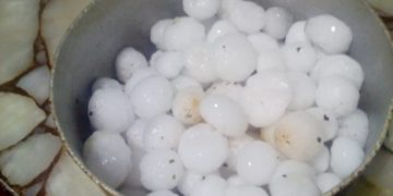 Temporal con fuertes vientos y granizos provocó voladuras de techos y caída de árboles