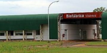 La Biofábrica regalará 50 mil árboles nativos para mitigar el impacto de la quema en Amazonas