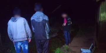 Incautaron plantaciones de marihuana en el patio de una vivienda