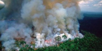 Continúa la emergencia en Brasil por graves incendios en el Amazonas