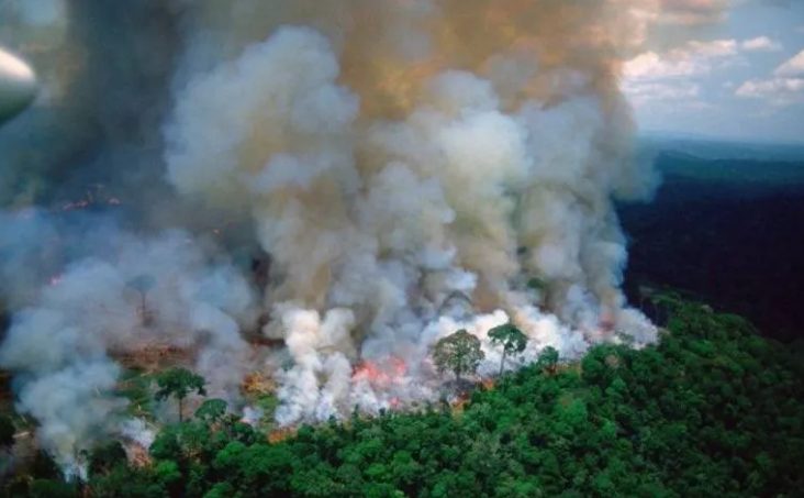 Continúa la emergencia en Brasil por graves incendios en el Amazonas