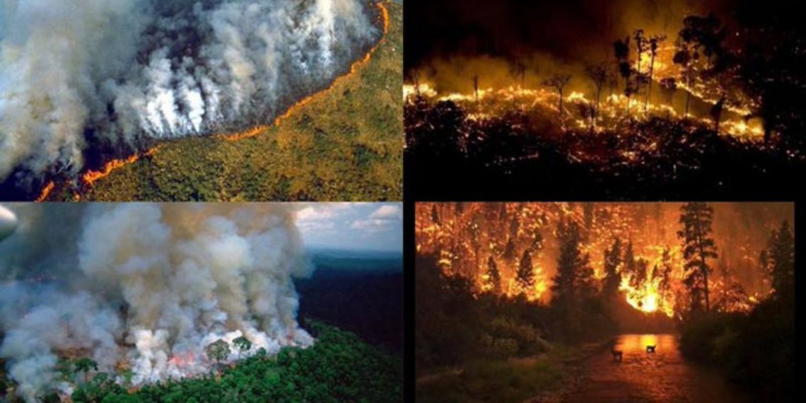 Bomberos argentinos viajarán a Brasil para combatir el fuego en Amazonas
