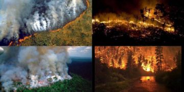 Bomberos argentinos viajarán a Brasil para combatir el fuego en Amazonas