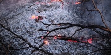 Blsonaro rechazó la ayuda del G7 para combatir los incendios en el Amazonas: “Son recursos más relevantes para reforestar Europa”