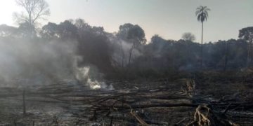 En los últimos diez días se detectaron cerca de 30 focos de incendio en distintos puntos de la provincia