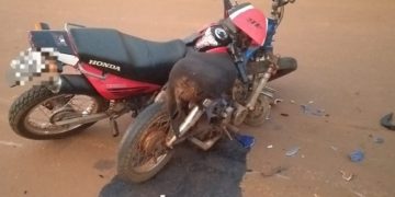 El Soberbio: dos motociclistas murieron tras chocar en Ruta Costera 2