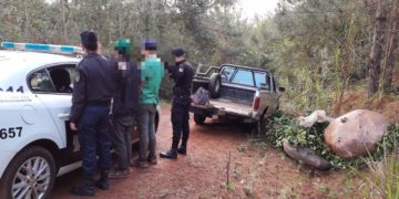 Detienen a dos  jóvenes por cosechar yerba mate ajena y secuestran 7 raídos del producto y una camioneta
