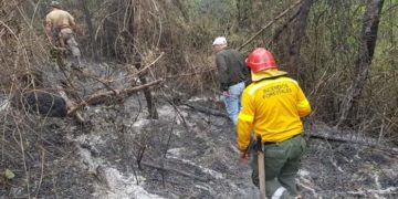 Multaron con más de 350 mil pesos a infractor que inició incendio en 2000 hectáreas de Puerto Iguazú