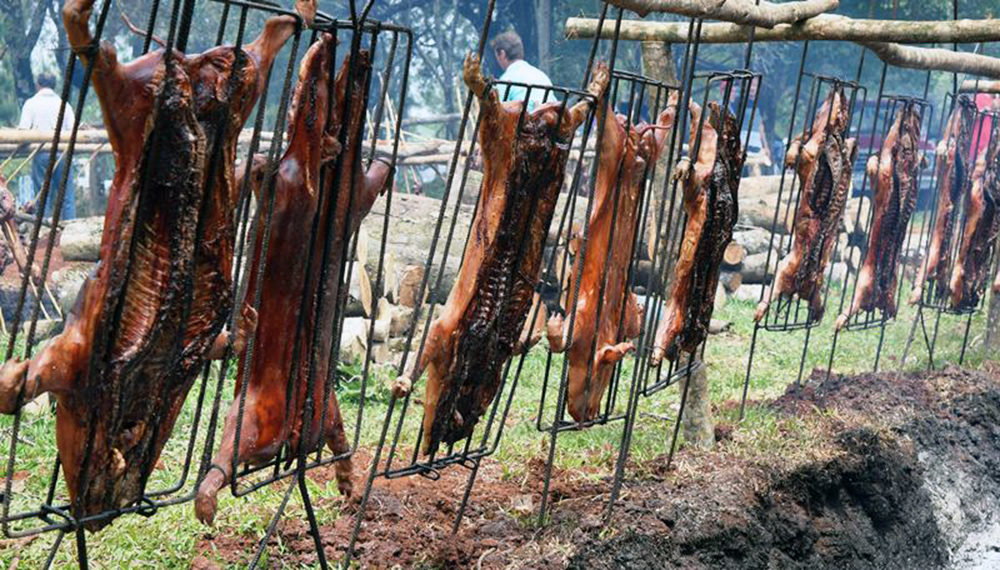 Bonpland: todo listo para la 6ta edición de la Fiesta del Lechón