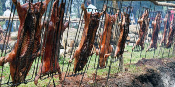 Bonpland: todo listo para la 6ta edición de la Fiesta del Lechón