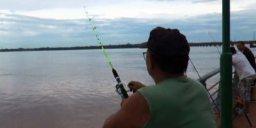Desde 4 de noviembre regirá  la veda de pesca en los ríos Paraná y Uruguay