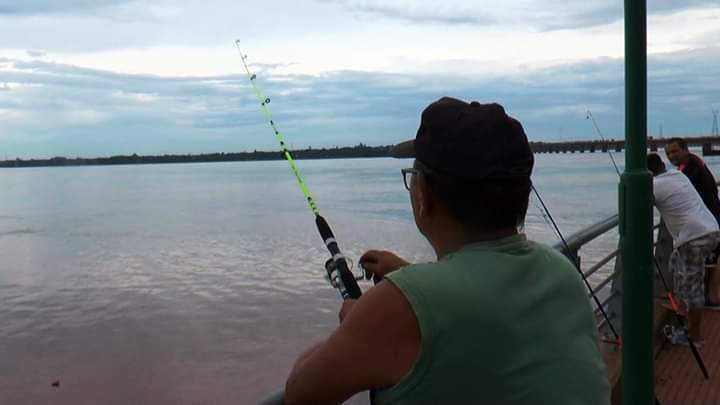 Desde 4 de noviembre regirá la veda de pesca en los ríos Paraná y Uruguay
