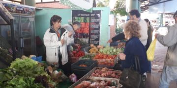 Conocé las promociones del Mercado Concentrador vigentes hasta este sábado