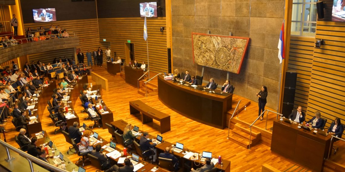 Misiones reguló la equinoterapia como actividad terapéutica de habilitación y rehabilitación
