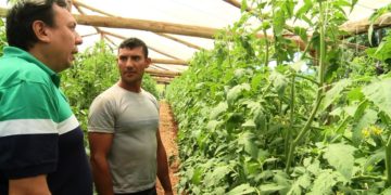 Productores expectantes con la apertura del Mercado  Concentrador de Eldorado