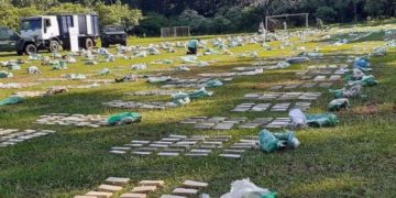 Interceptaron un camión repleto de marihuana en Gobernador Roca