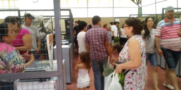 El Mercado Concentrador de Oberá superó las expectativas de los productores por las ventas