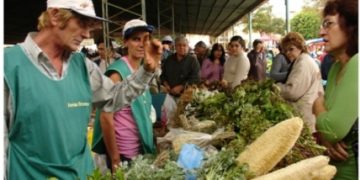 Beneficiarios de tarjetas sociales tendrán tickets para comprar en Ferias Francas
