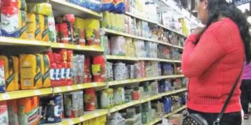 Consumo interno de yerba mate creció 10 millones de kilos
