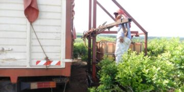 Ecología prohibió el ingreso de desechos de establecimientos avícolas