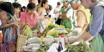 Las Ferias Francas se preparan para el 24 y 31 de diciembre