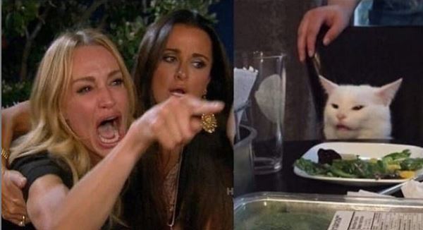 Conocé a la dueña del gato más famoso de internet