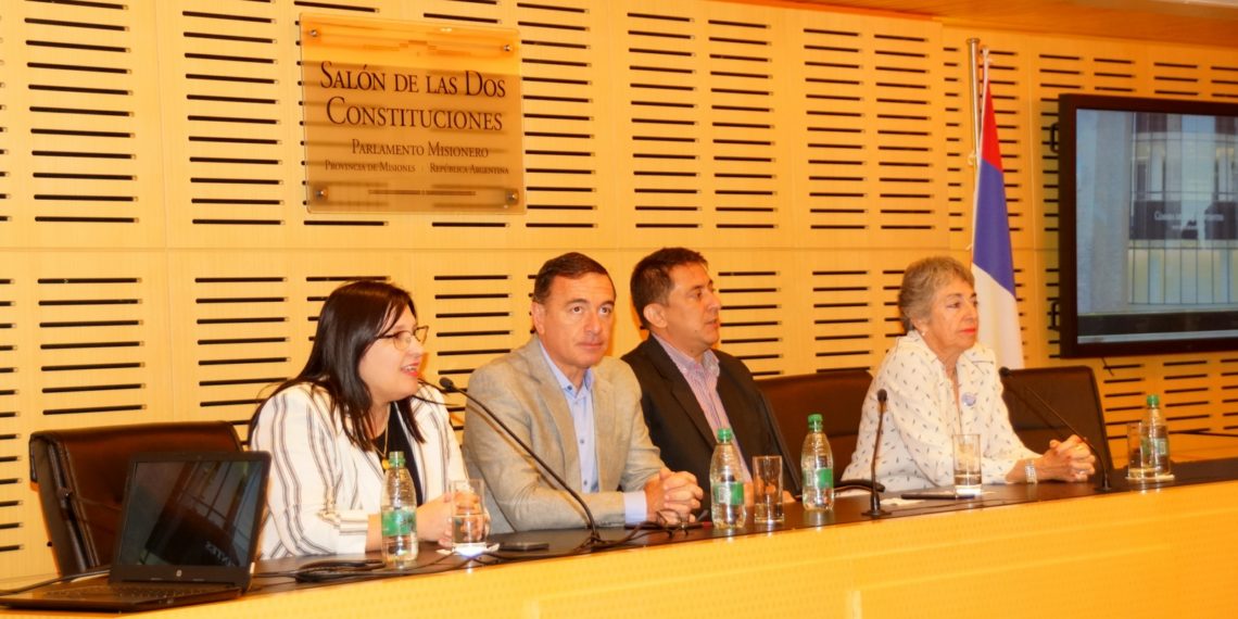 Analizan la creación del Colegio de instrumentadores quirúrgicos de Misiones
