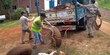 Refuerzan acciones contra las enfermedades vectoriales