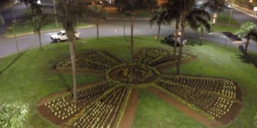 Más de mil plantines lucen en la rotonda del Monumento al Papa