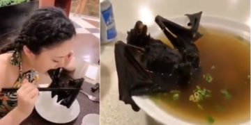 La sopa de murciélago que habría originado el Coronavirus