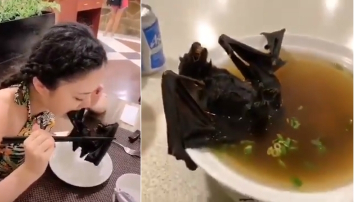 La sopa de murciélago que habría originado el Coronavirus