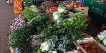 Ferias Francas: crearán una aplicación para reempadronar a productores