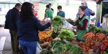 Las Ferias Francas y su significativo aporte a la economía