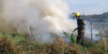 Por las altas temperaturas y escasez de lluvias, rige la alerta máxima por riesgo de incendios en Misiones