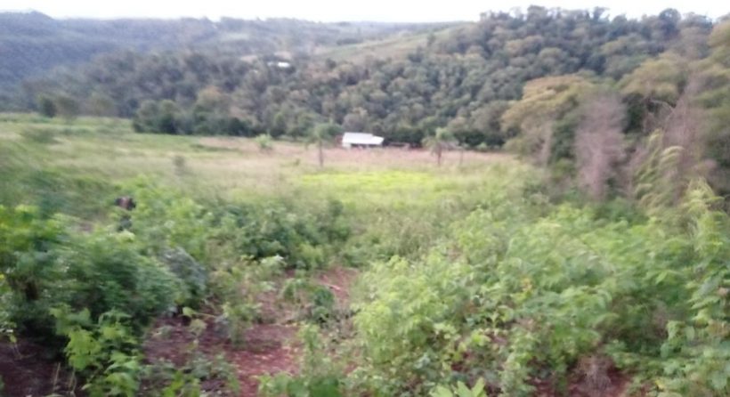 Hallan el cuerpo semienterrado de una mujer y buscan al hijastro