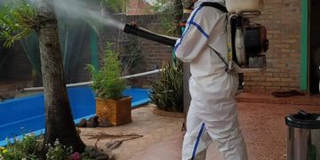 Oberá: municipio y Salud Pública intensifican tareas contra el dengue