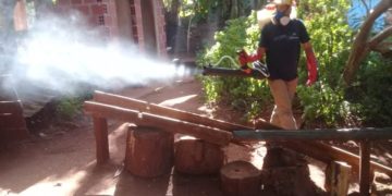 Misiones continúa con la lucha contra el dengue