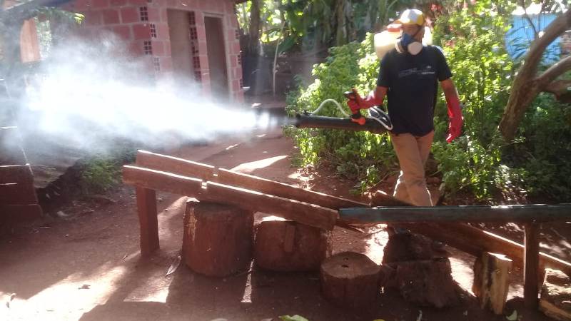 Misiones continúa con la lucha contra el dengue