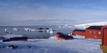 Nuevo récord: ahora, la Antártida alcanzó los 20 grados