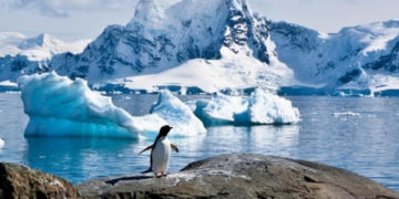 Temperaturas récord en la Antártida: con 18° fue el día más cálido desde que se tiene registro