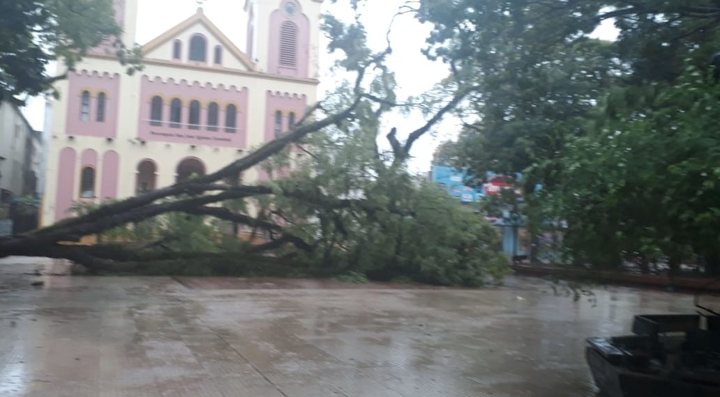 Posadas: la tormenta provocó la caída de árboles y voladura de techos