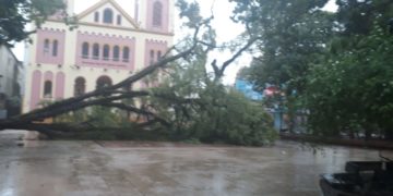 Posadas: la tormenta provocó la caída de árboles y voladura de techos