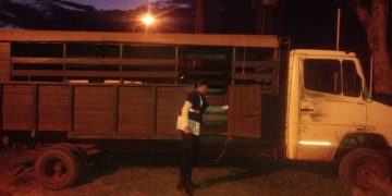 Wanda: interceptaron un camión que transportaba una veintena de tareferos en la carrocería